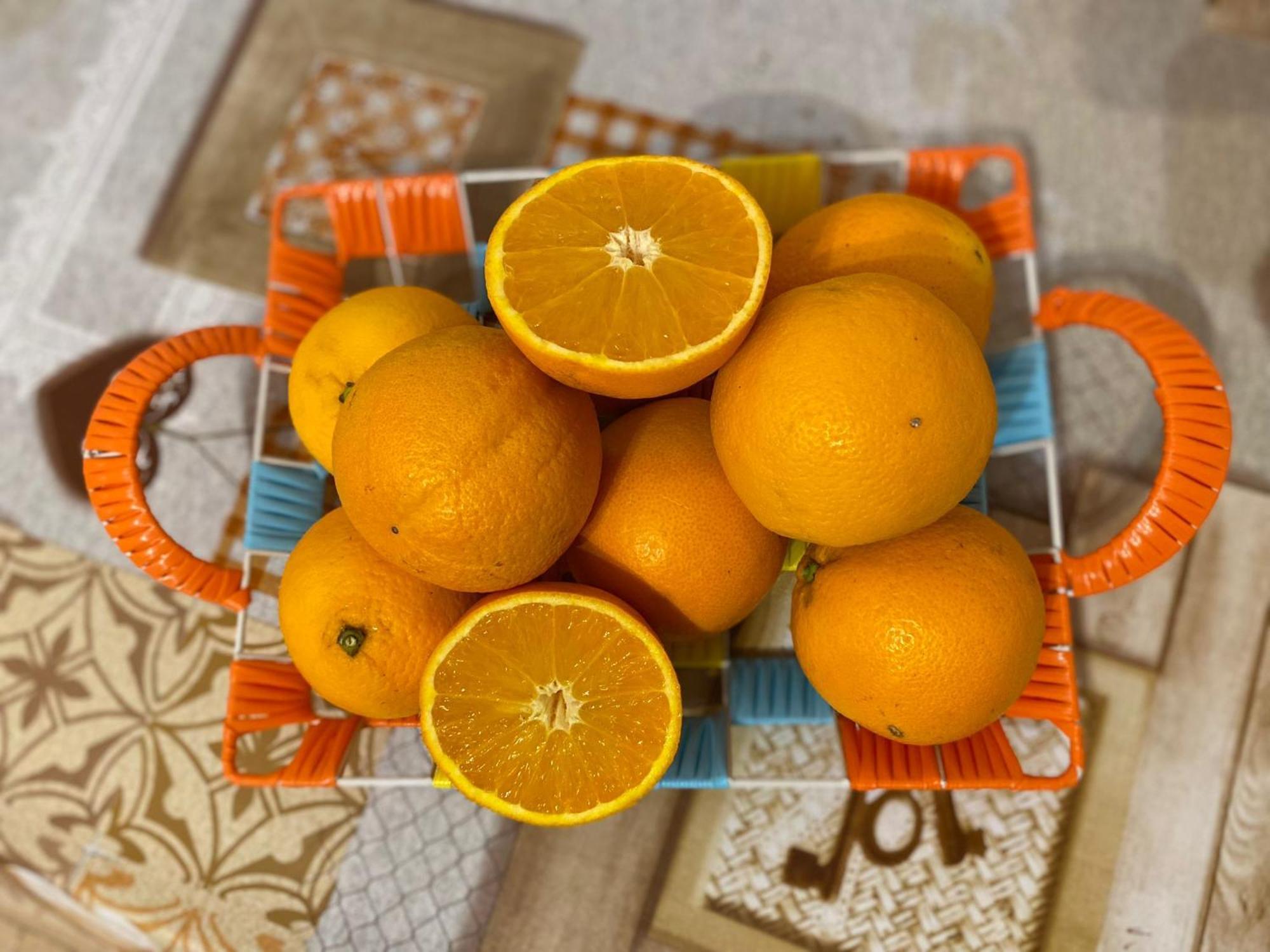 I Feel Orange Gasthof *